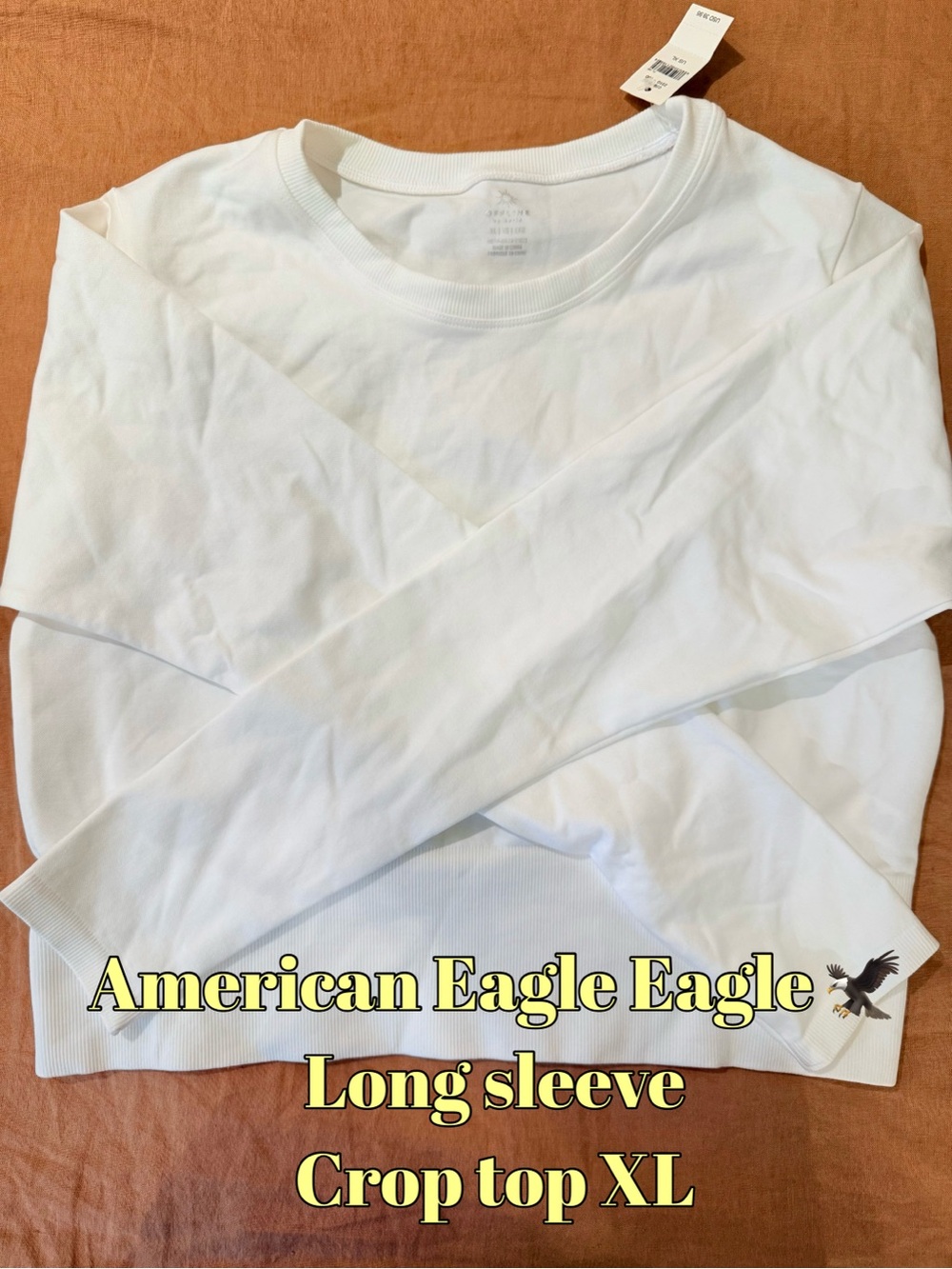 American Eagle Outfitters White Long Sleeve Crop Top